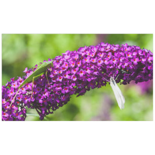 katydid energy tablecloth