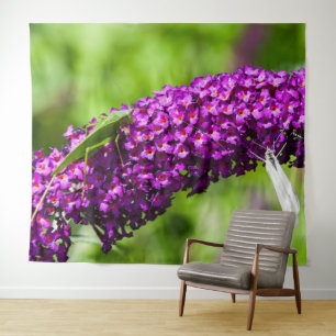 katydid energy tapestry