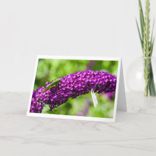 katydid energy thank you card