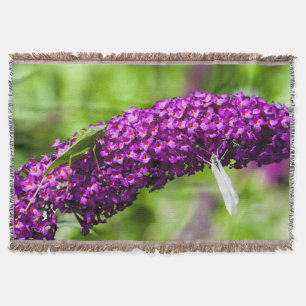 katydid energy throw blanket