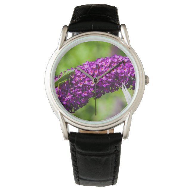 katydid energy watch (Front)