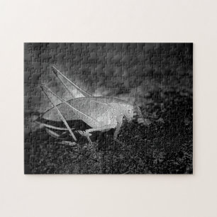 Katydid Grasshopper In Black And White Nature Jigsaw Puzzle