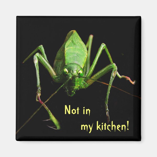 Katydid in the Kitchen Magnet (Front)