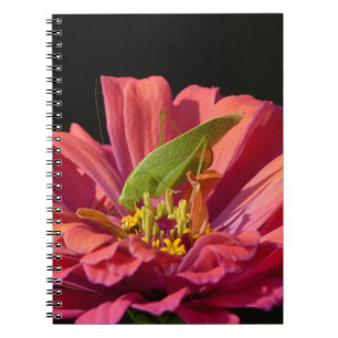 Katydid on Zinnia Notebook
