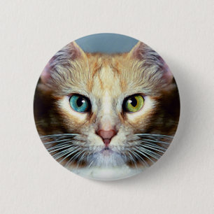 Katz 2 Inch Round Button
