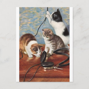 Katze Vintage Postcard