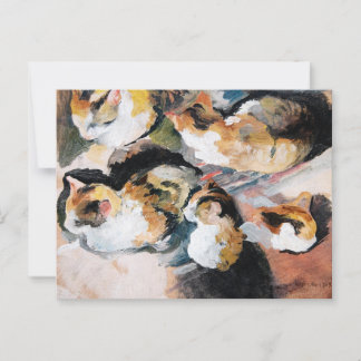 Katzenstudien (Study of a Cat) 1909 Postcard
