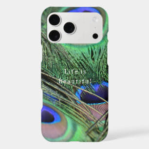 Kauai Blue Peacock Feathers (photo taken by me)