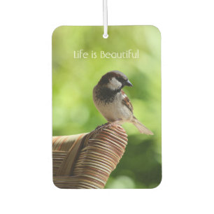 Kauai Hawaii Bird (my photography) Air Freshener