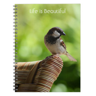 Kauai Hawaii Bird (my photography) Notebook
