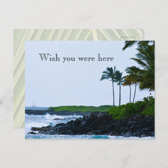 Kauai Hawaii Koloa Ocean Palm Trees Postcard (Front/Back)
