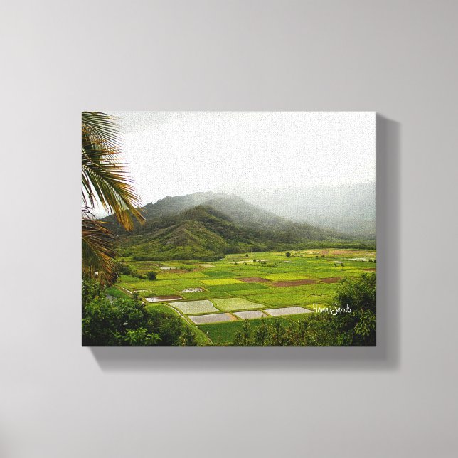 Kauai, Hawaii Lush Fields Landscape Canvas Print (Front)