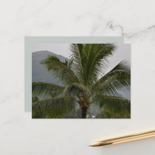 Kauai Hawaii Palm Tree Postcard