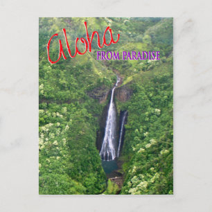 Kauai, Hawaii Postcard