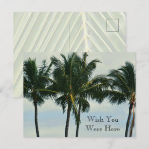 Kauai Hawaii Tropical Palm Trees Postcard