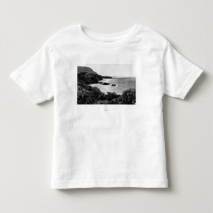 Kauai, Hawaii - View of Lumahai Bay & Beach Toddler T-shirt