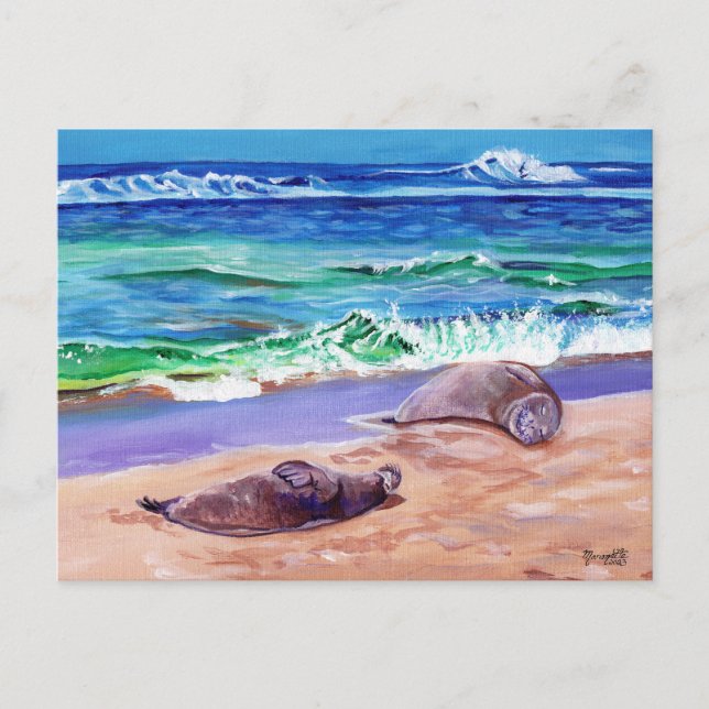 Kauai Hawaiian Monk Seals on Poipu Beach Postcard (Front)