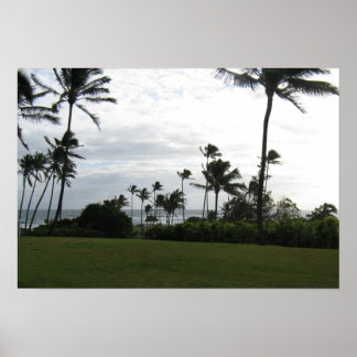 Kauai Palm Poster