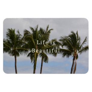 Kauai Palm Trees (photo taken by me) Magnet