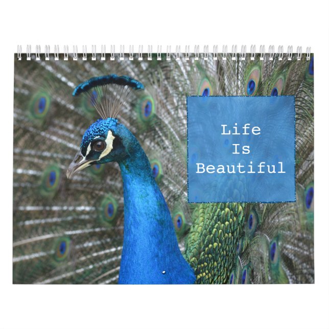 Kauai Peacock Feathers Calendar (Cover)