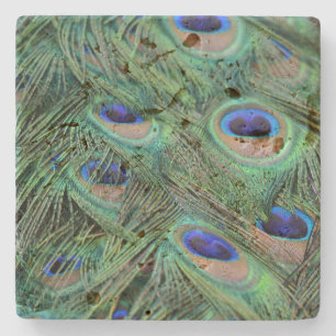 Kauai Peacock Feathers Stone Coaster