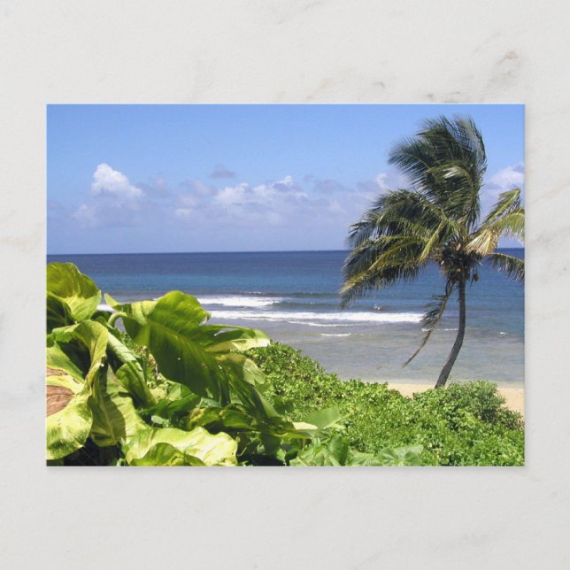 Kauai Postcard (Front)