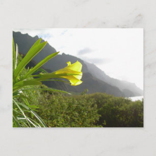 Kauai postcard