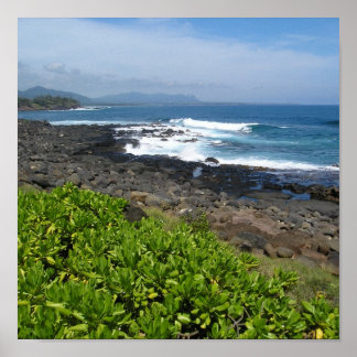 Kauai succulents 2 poster