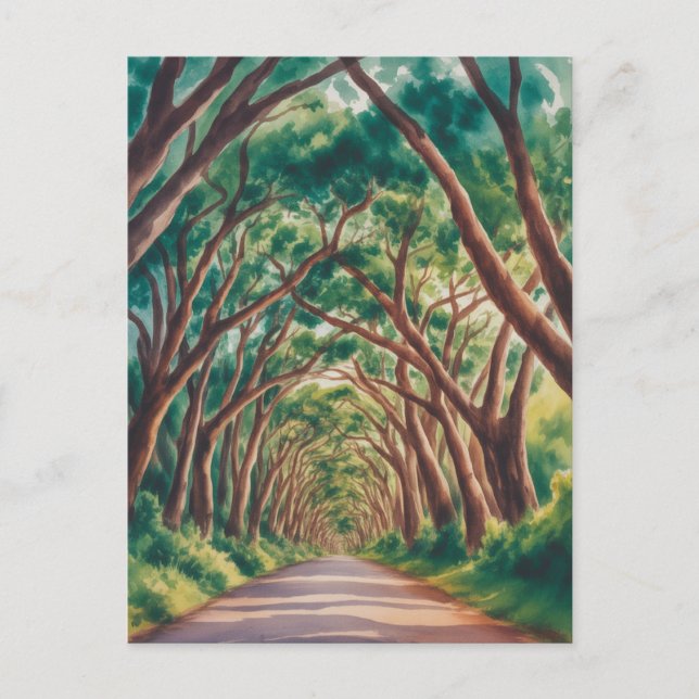 Kauai Tree Tunnel watercolor Postcard (Front)