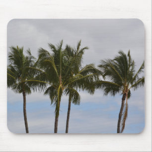 Kauai Tropical Palm Trees (photo taken by me) Mouse Pad