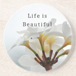 Kauai Tropical White Plumeria  (photo taken by me) Coaster