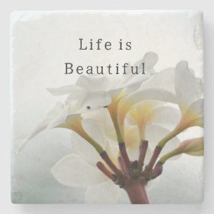 Kauai Tropical White Plumeria (photo taken by me) Stone Coaster