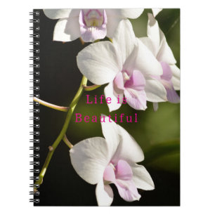 Kauai White Pink Orchids (photo taken by me) Notebook