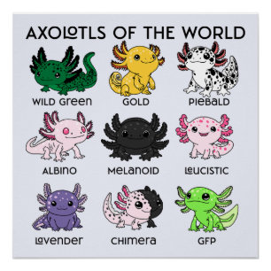 Kawaii Axolotls of the Worlds Poster