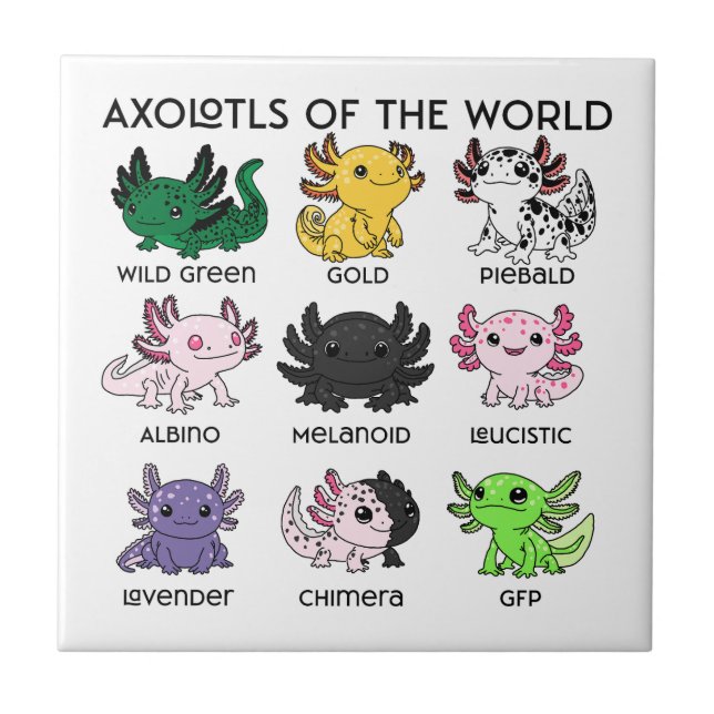 Kawaii Axolotls of the Worlds Tile (Front)
