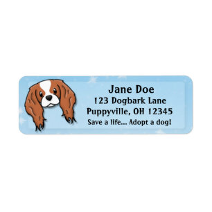 Kawaii Blenheim Cavalier King Charles Spaniel