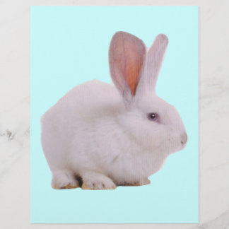 Kawaii Cute Bunny Rabbit