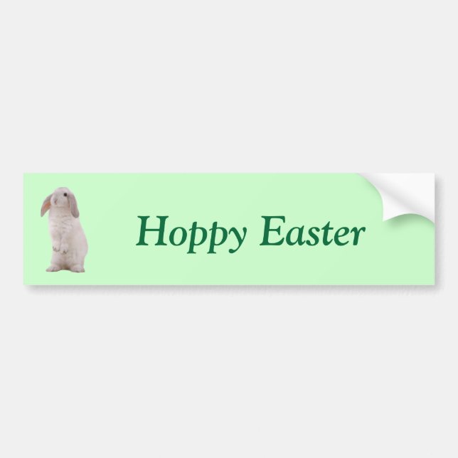Kawaii Cute Bunny Rabbit Bumper Sticker (Front)
