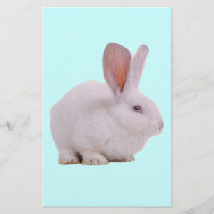 Kawaii Cute Bunny Rabbit Stationery