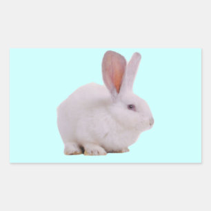 Kawaii Cute Bunny Rabbit Sticker