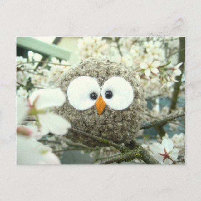 Kawaii Oliver the Owl Postcard (Front)