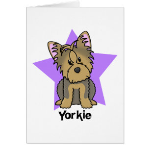 Kawaii Star Yorkshire Terrier