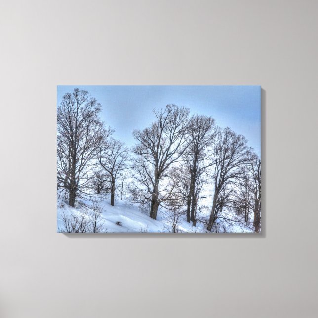 Kawartha Winter Forest Trees Nature Scenic Print (Front)
