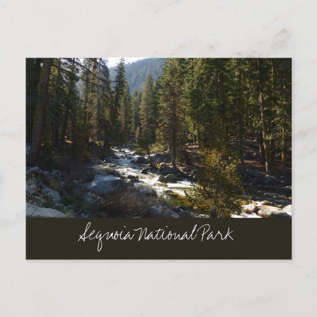 Kaweah River in Sequoia National Park Postcard (Front)