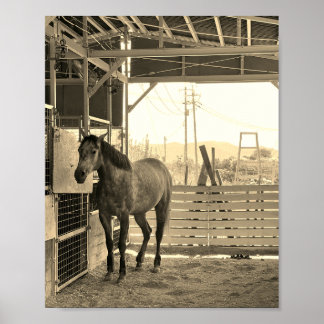 Kay Mei Ranch Glamor Chan Just Like a Thing Poster