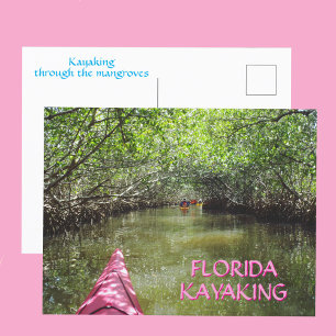 Kayaking Through the Mangroves Florida Adventure Postcard