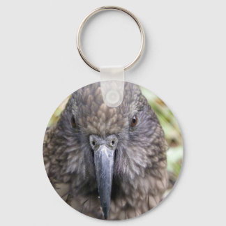 Kea Keychain