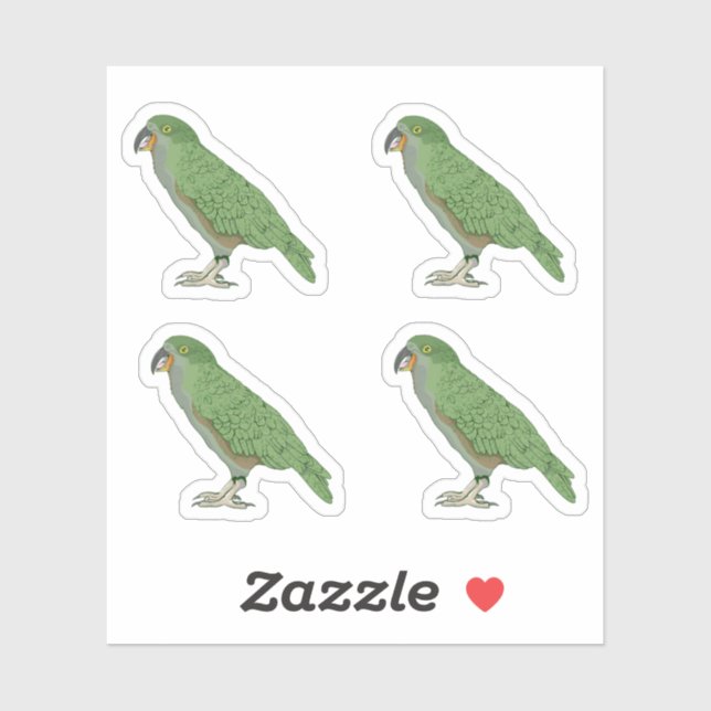 Kea New Zealand Bird (Sheet)