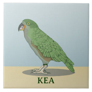 Kea New Zealand Bird Tile