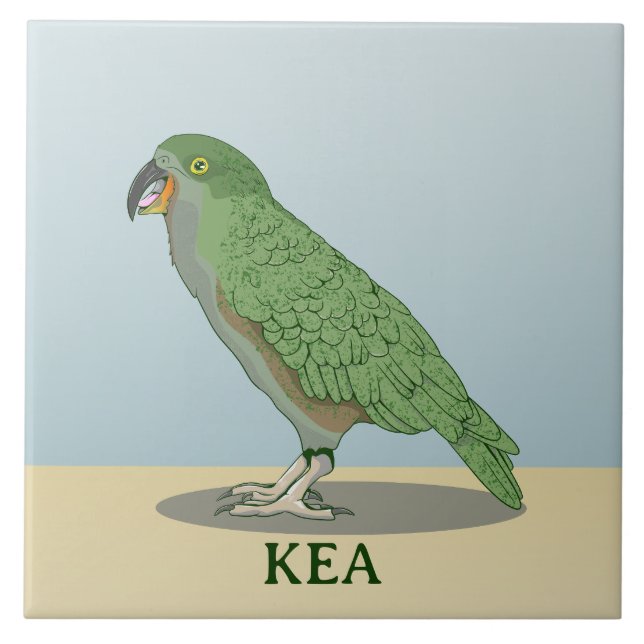 Kea New Zealand Bird Tile (Front)